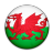 Flag Of Wales Icon